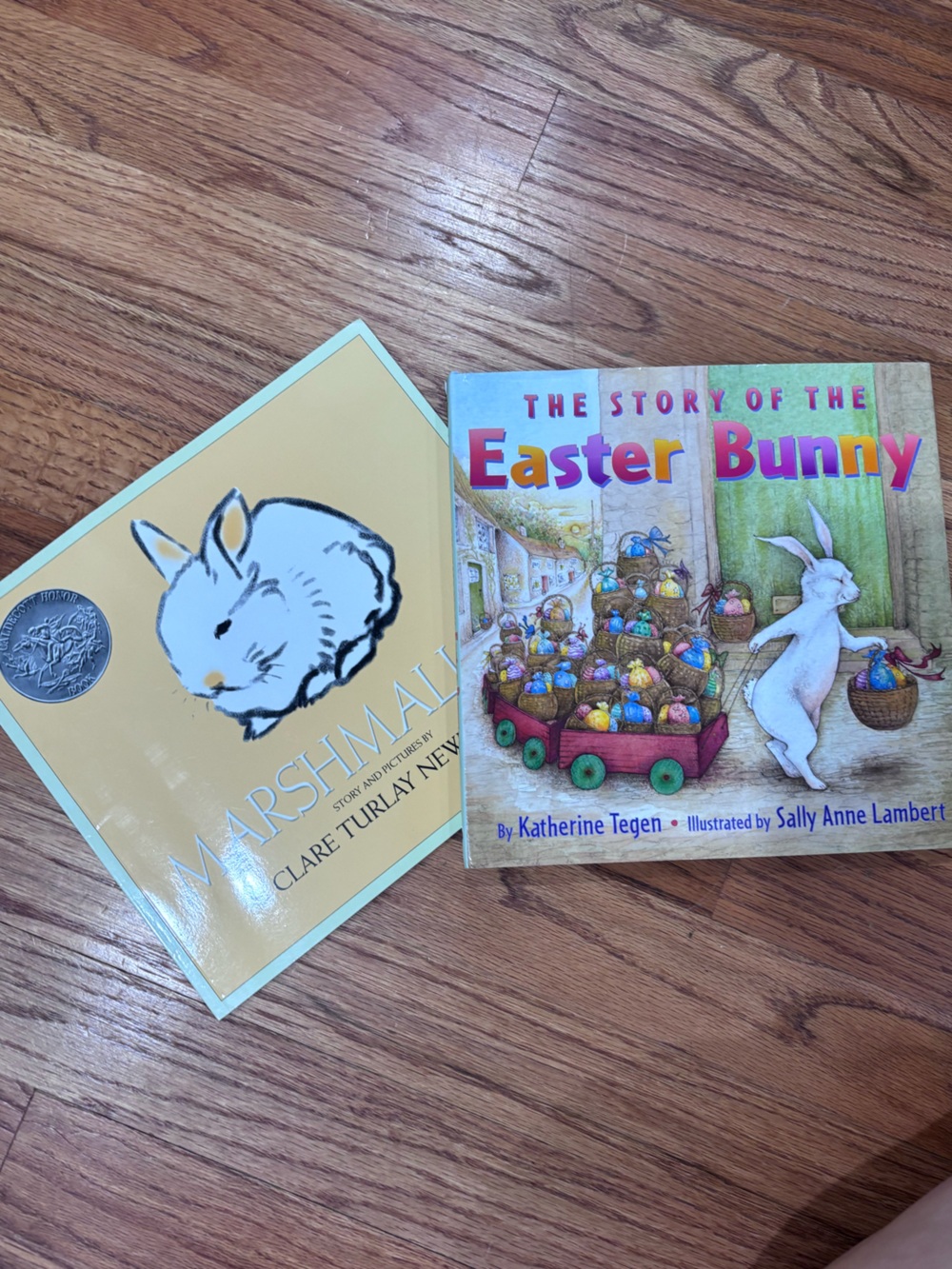 Marshmallow & The Story of the Easter Bunny - Bunny Picture Books
